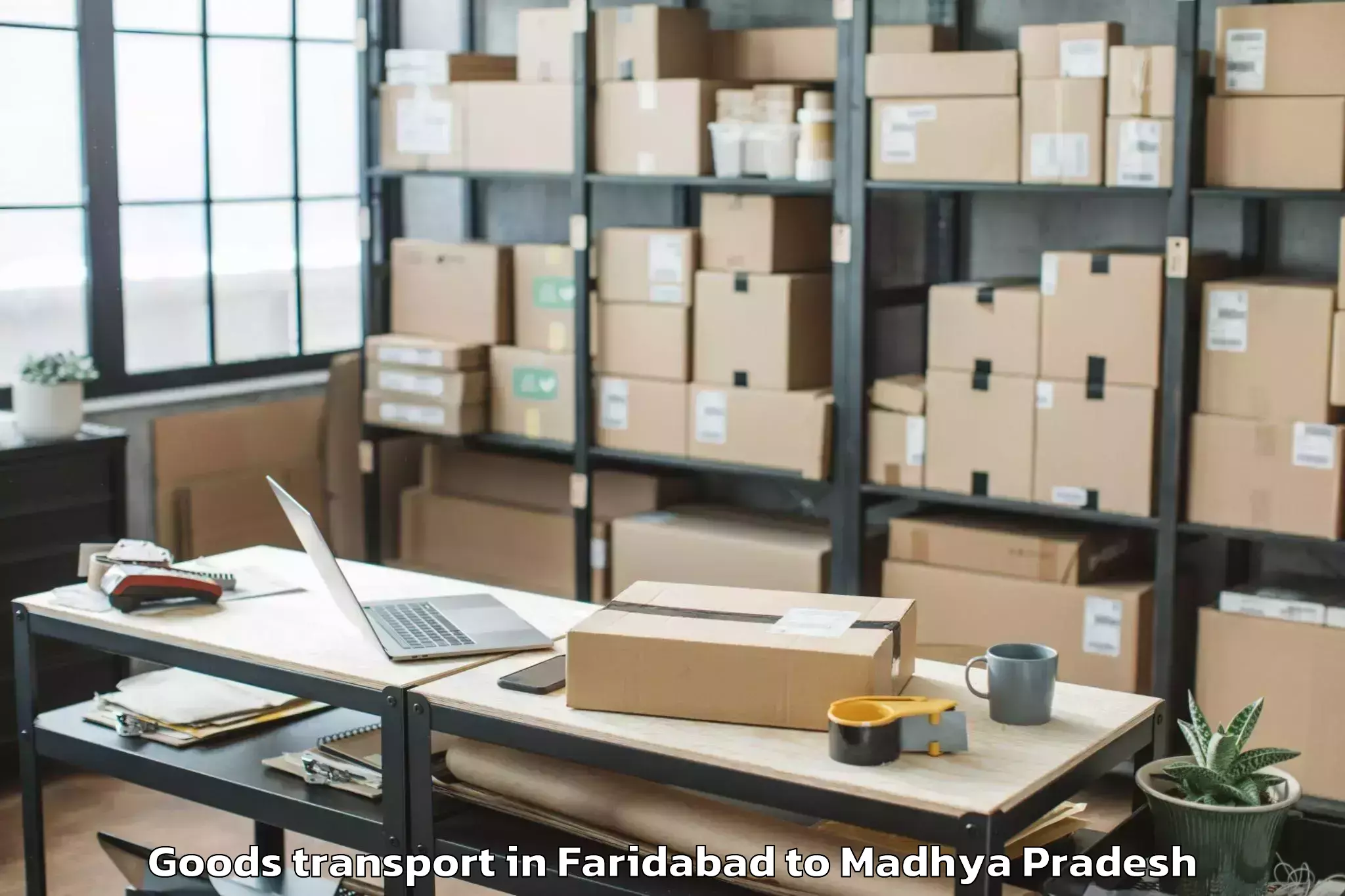 Faridabad to Alot Goods Transport Booking